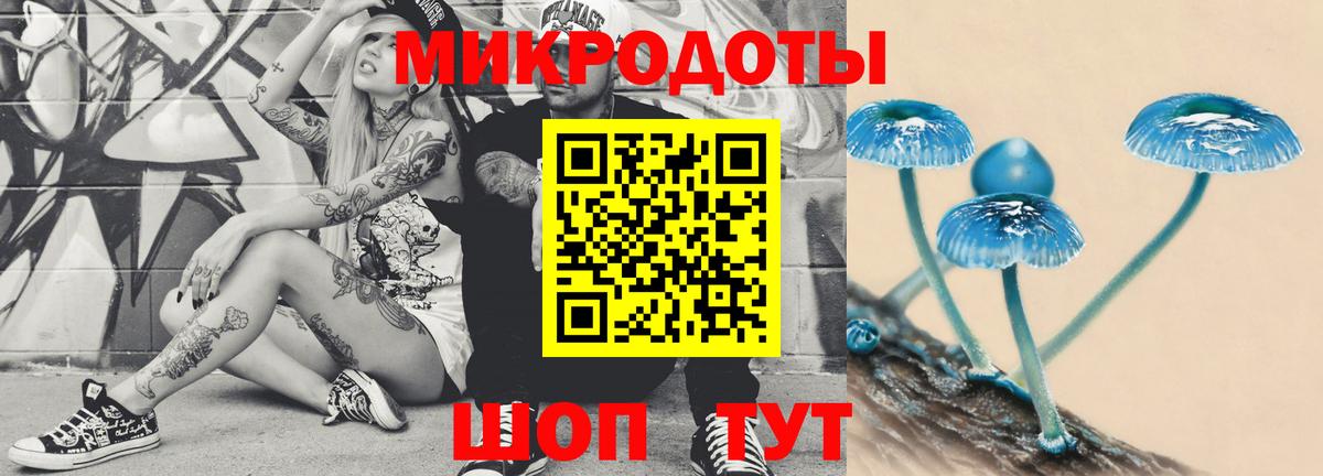 Ессентуки  Галлюциногенные грибы Psilocybine cubensis  Вход с VPN 