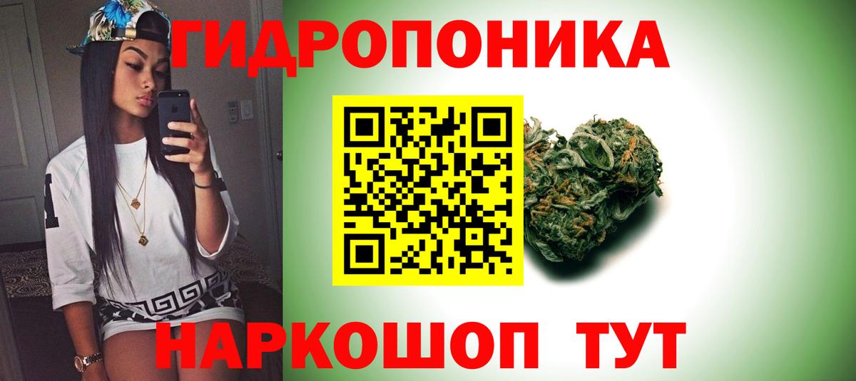 Канабис SATIVA & INDICA Ессентуки